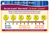 Pocket-Guide to Pain Assessment